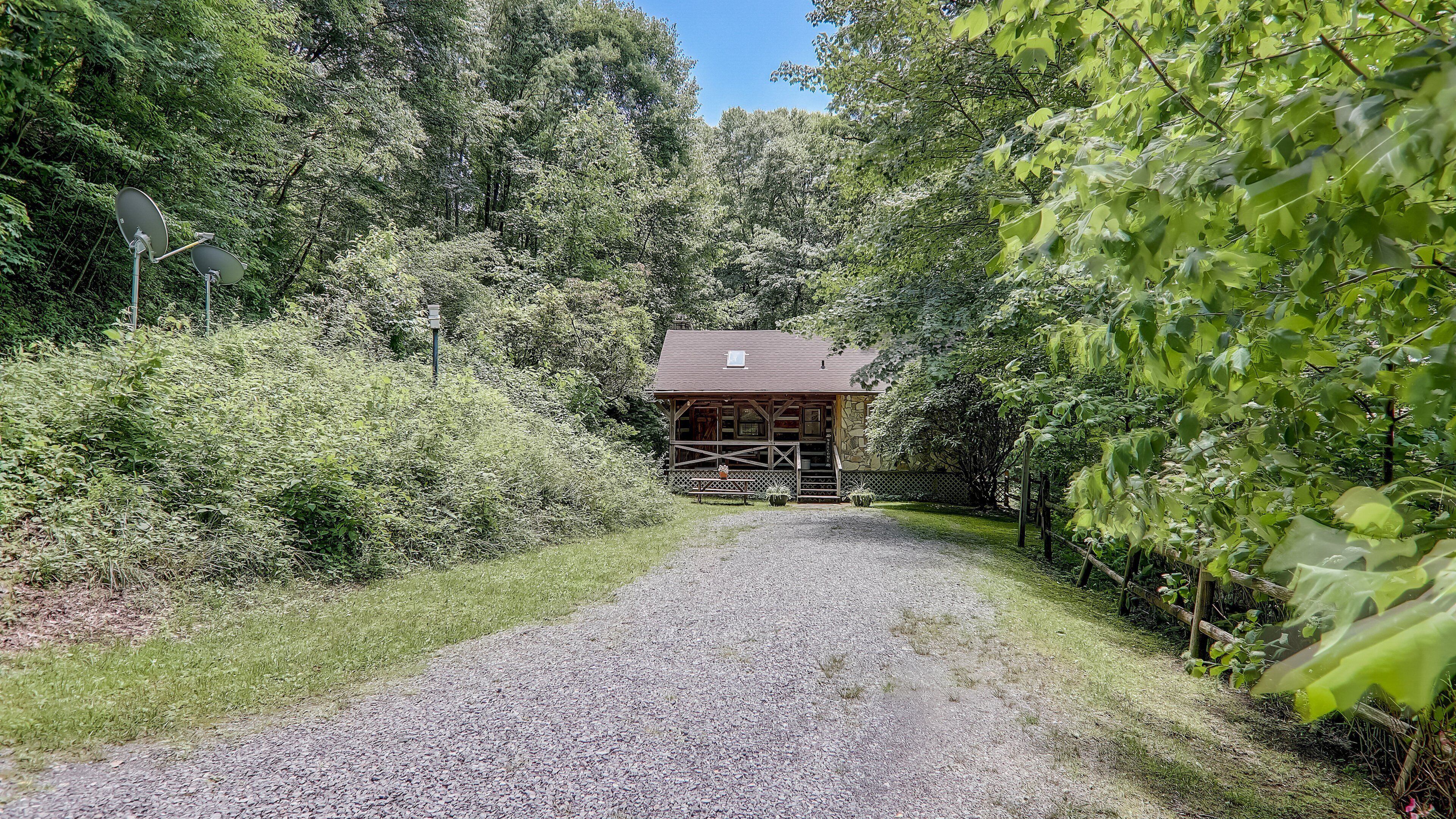 A gravel path leading to a rustic cabin surrounded by dense greenery.
