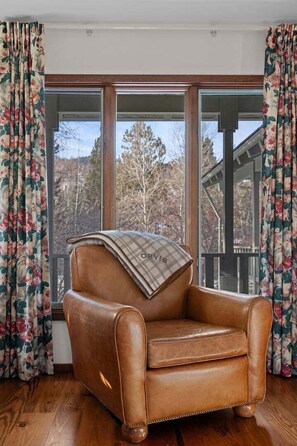 Smart TV, fireplace, books