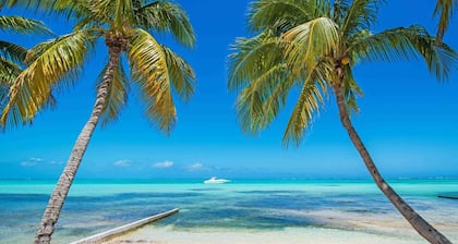 Stunning beachfront condo next to restaurant & a short drive to famous RumPoint