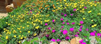 Color Marrón, Barichara. 2 Rooms