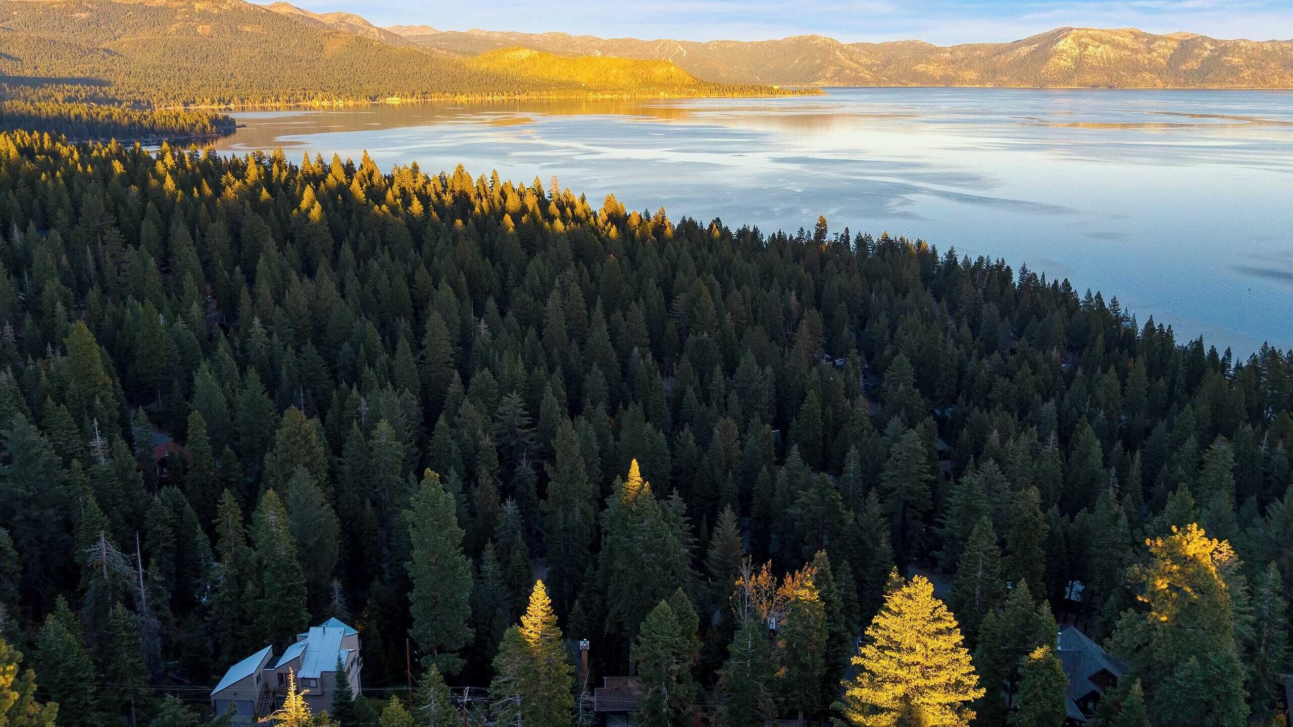 Un área boscosa con un lago y montañas al fondo.