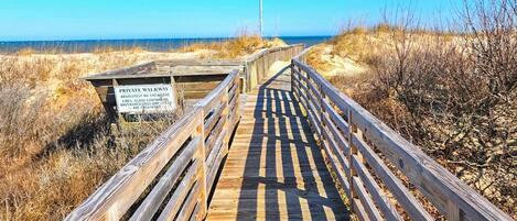 بالقرب من الشاطئ