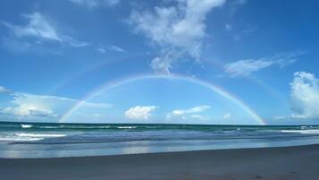 ビーチ、サンラウンジャー