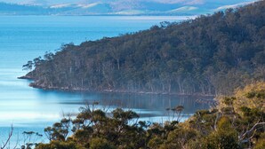 A coastal landscape with a clear view of the sea, a forested hill, and a distant shoreline.
