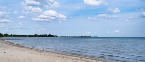 靠近海滩、钓鱼