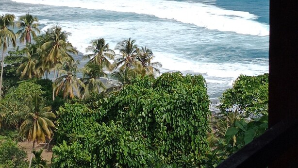 A coastal view with waves, palm trees, and rocky cliffs. - Rumah Nalu Surf Camp (South Krui)