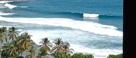 Surf/bodyboard