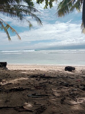 Surfen/boogieboarden