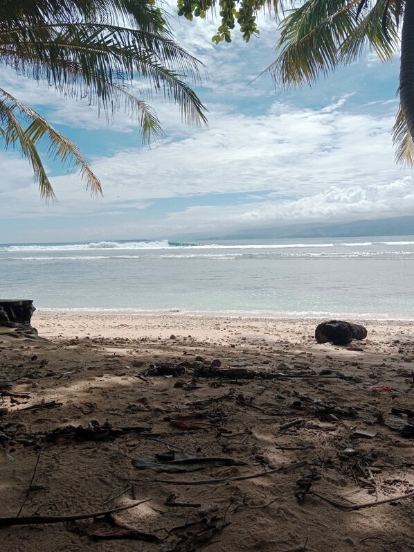 Surfing/boogie boarding