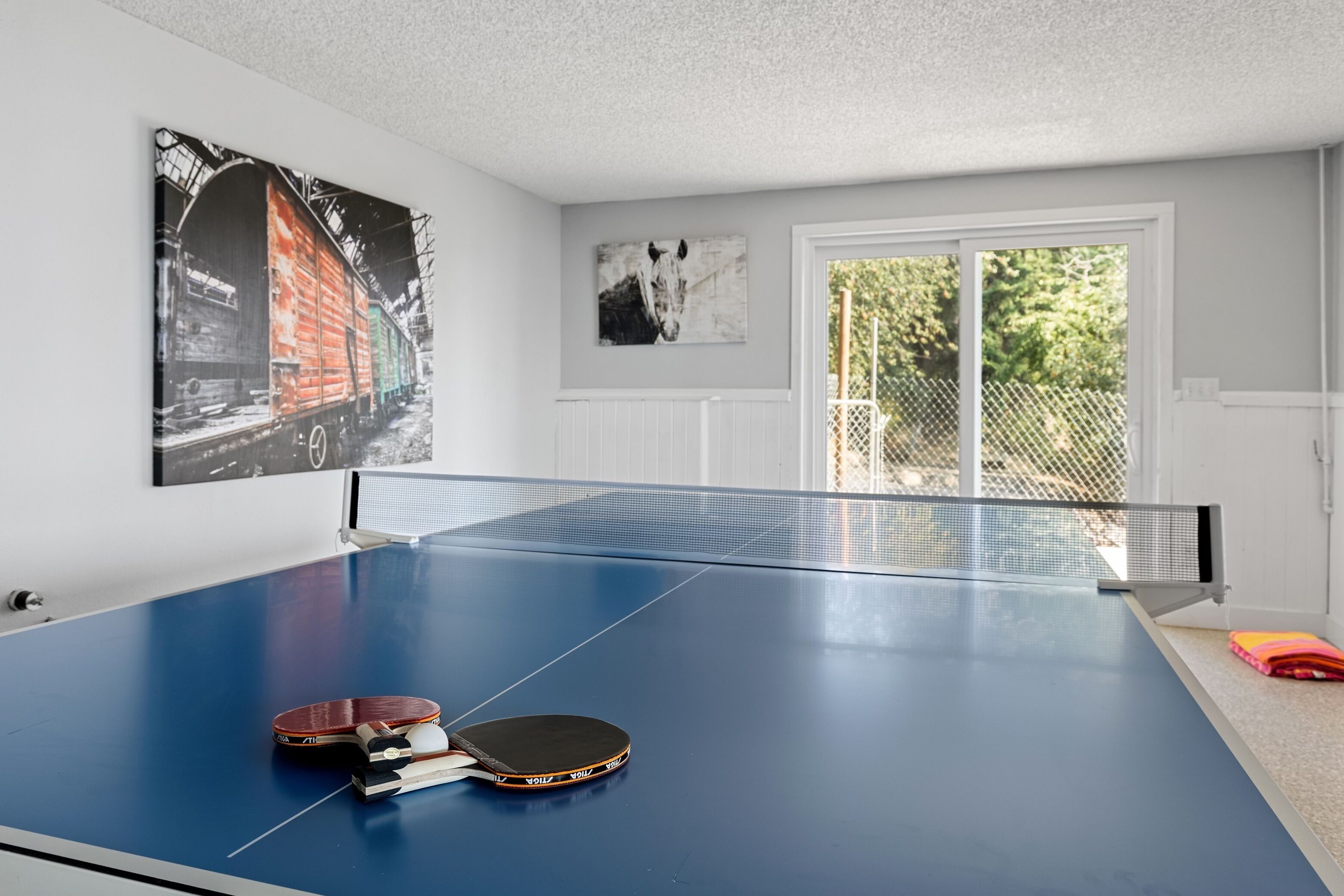 Ping Pong table 
