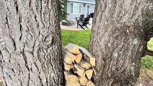 On aperçoit une maison avec une terrasse, des meubles de jardin et une pile de bois de chauffage à travers les arbres.