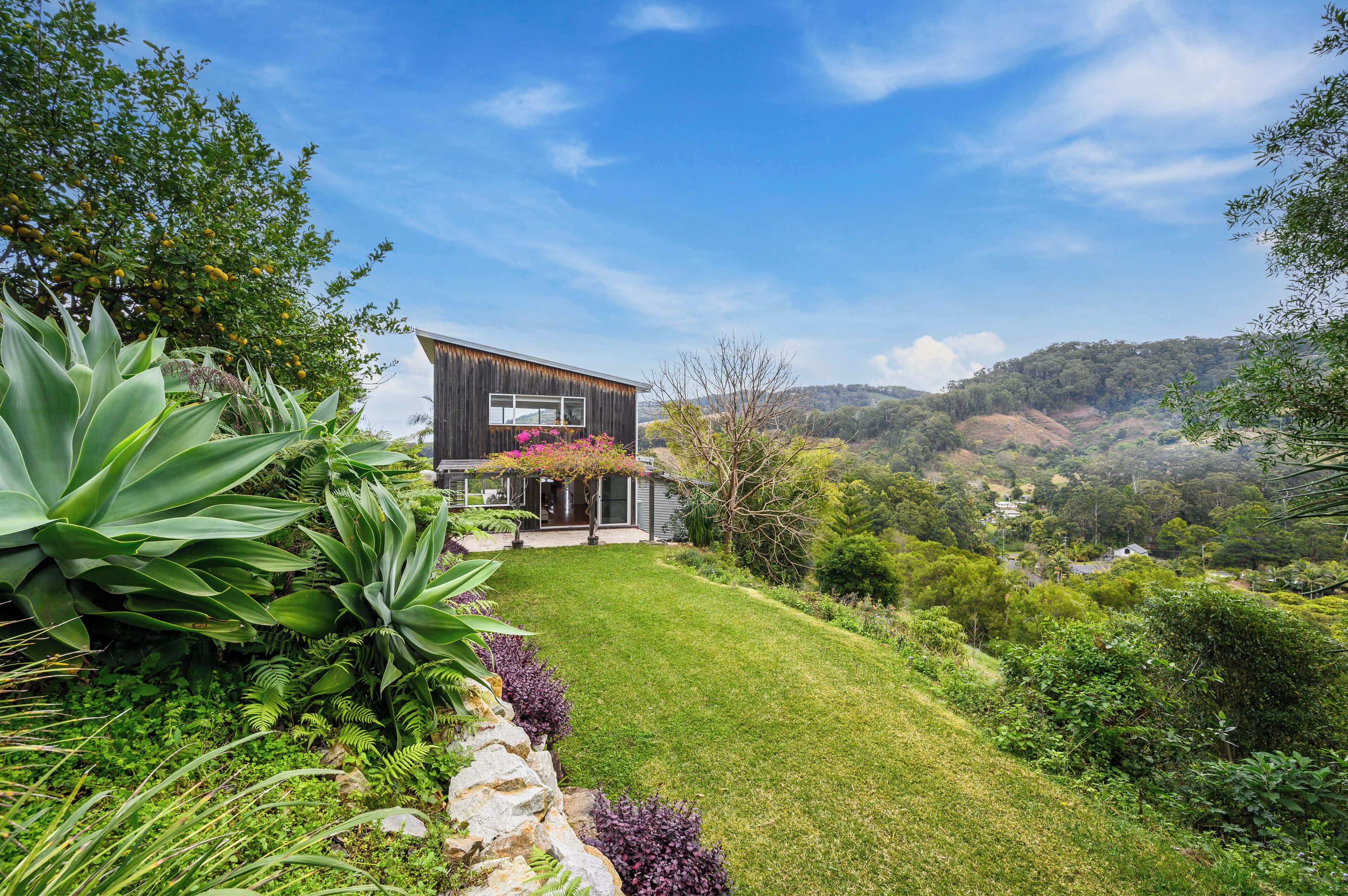 Una casa moderna amb un jardí ben cuidat i una varietat de plantes.