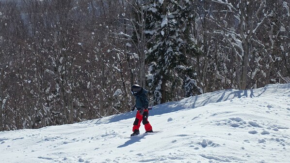 Una persona practica snowboard en una pendiente nevada, con árboles al fondo.