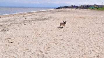 Vlak bij het strand