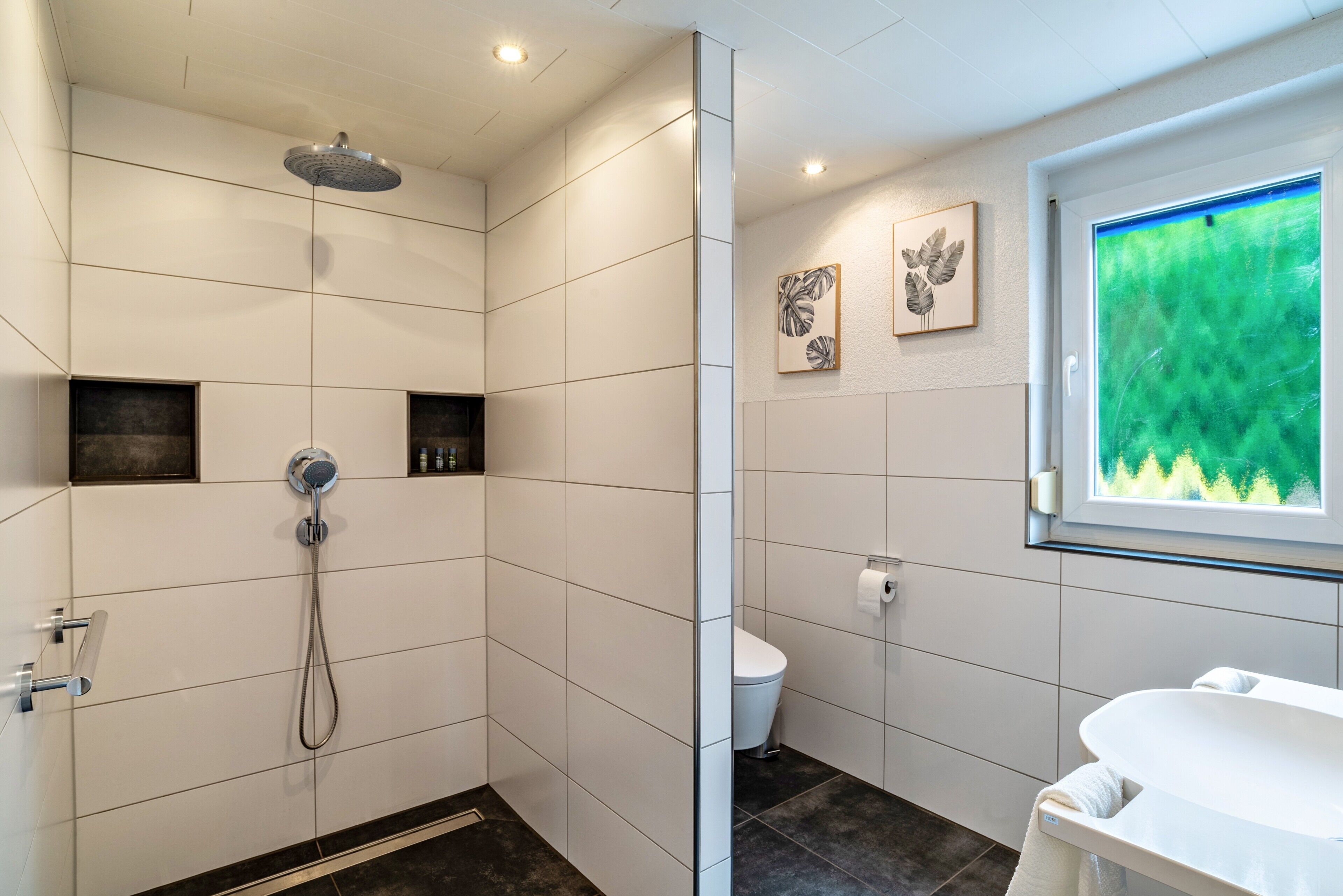 Shower, free toiletries, hair dryer, towels
