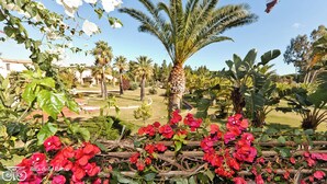A garden with a palm tree, red flowers, and various tropical plants. - Simple Gem of Le Dimore di Budoni 2 Bedroom sleeps 6 (Budoni)
