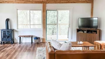 Smart TV, fireplace, books