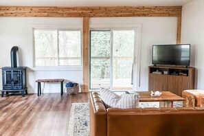 Smart TV, fireplace, books