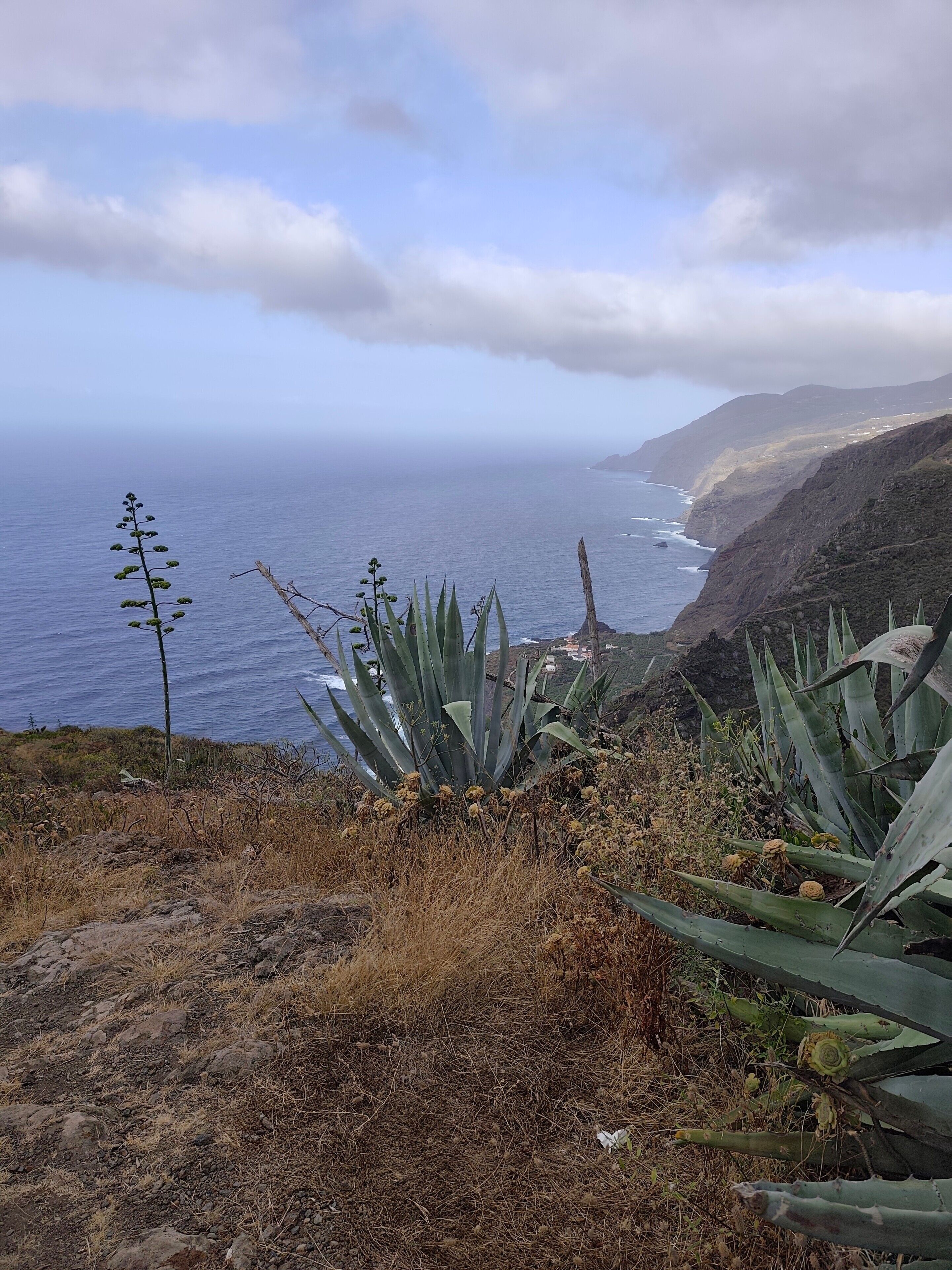 Eine Küstenlandschaft mit Blick auf das Meer, felsigem Gelände und spärlicher Vegetation.
