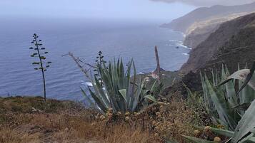 Eine Küstenlandschaft mit Blick auf das Meer, felsigem Gelände und spärlicher Vegetation.
