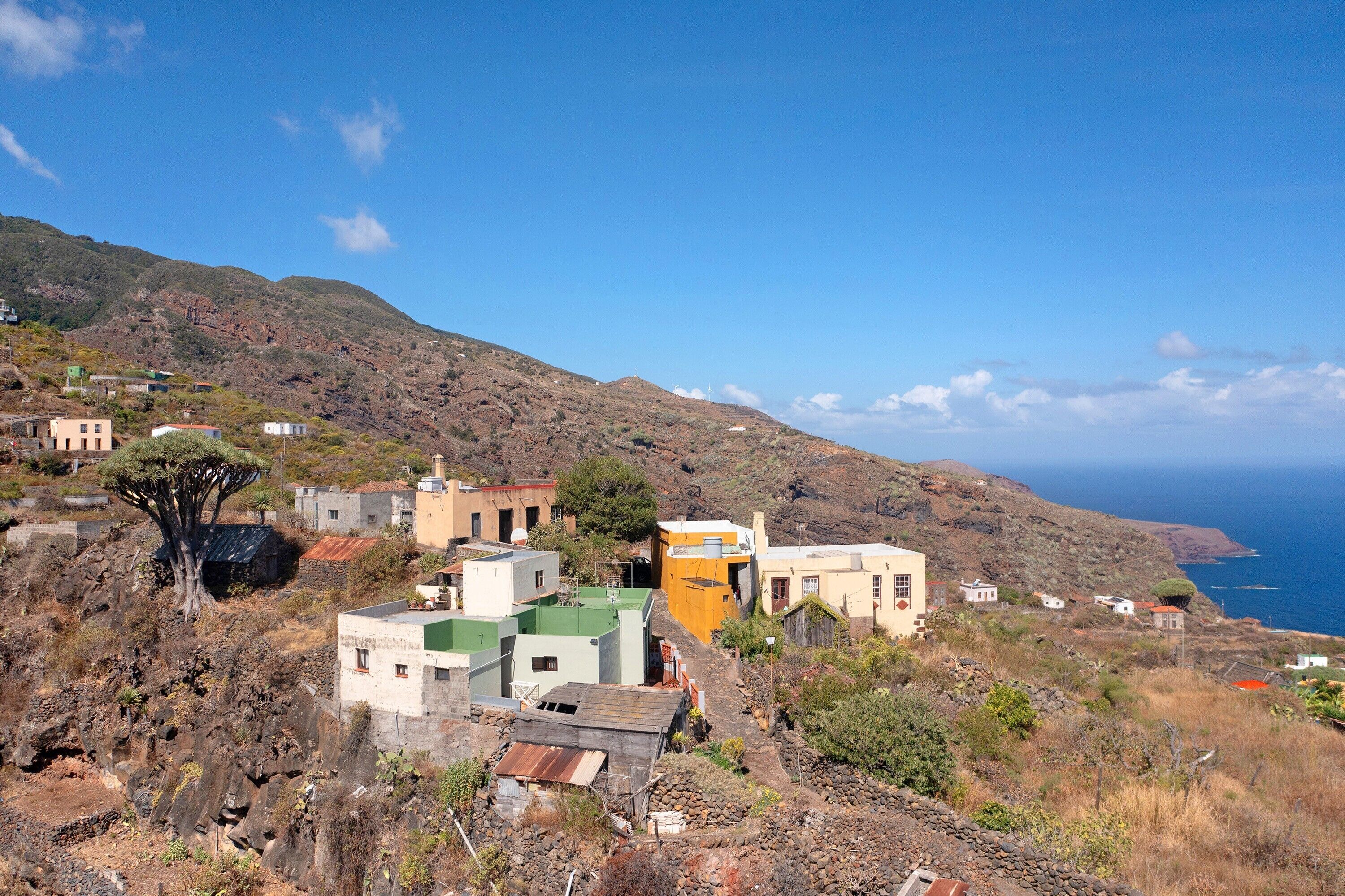 A coastal village with buildings, a prominent tree, and a view of the sea.