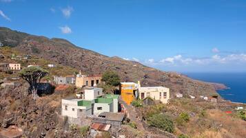 A coastal village with buildings, a prominent tree, and a view of the sea.