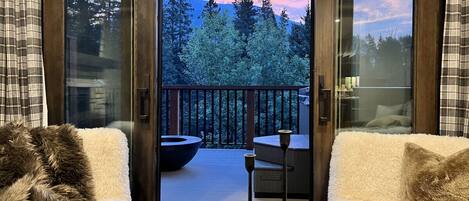 Smart TV, fireplace, books