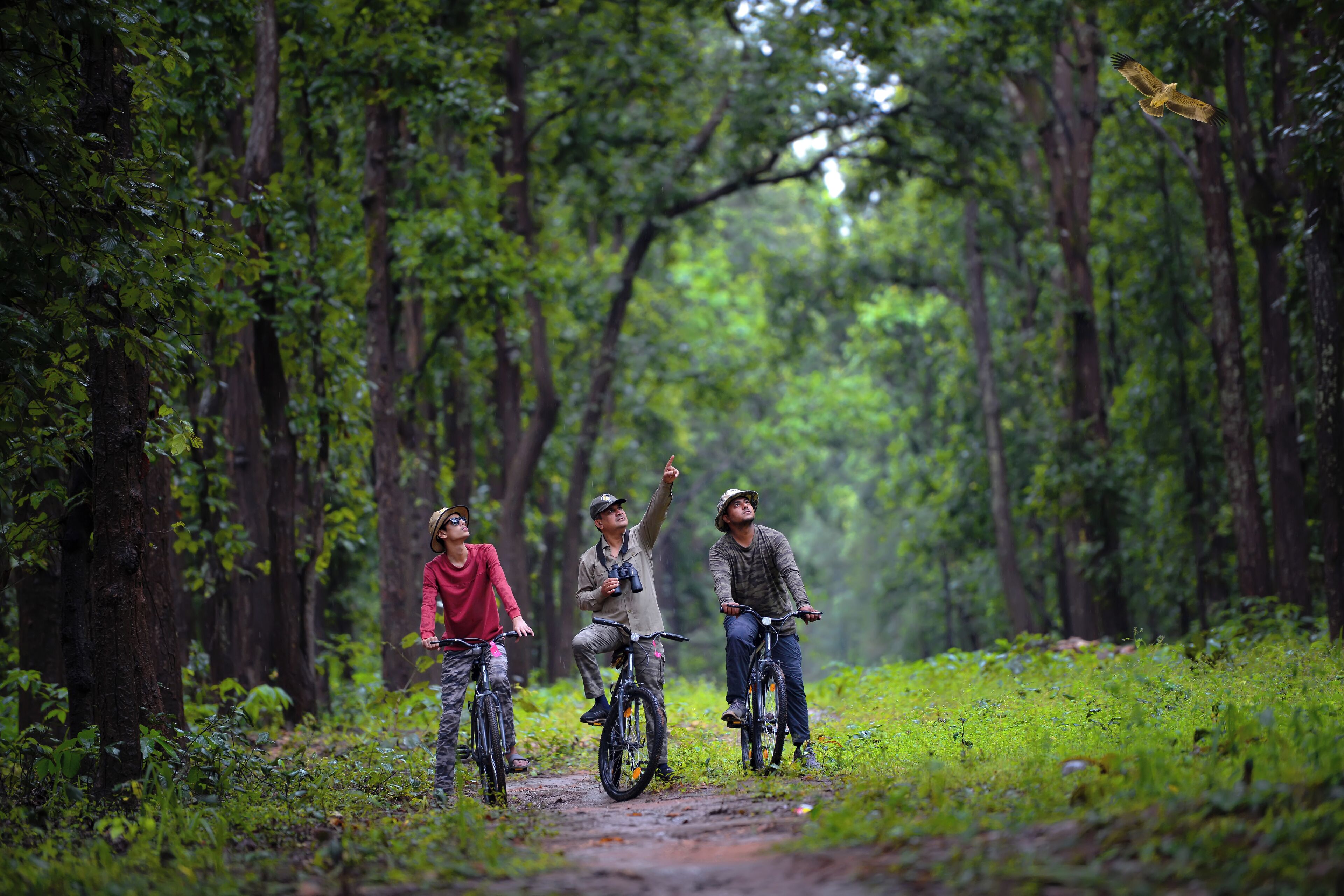 Three people on bicycles in a forested area with a path.