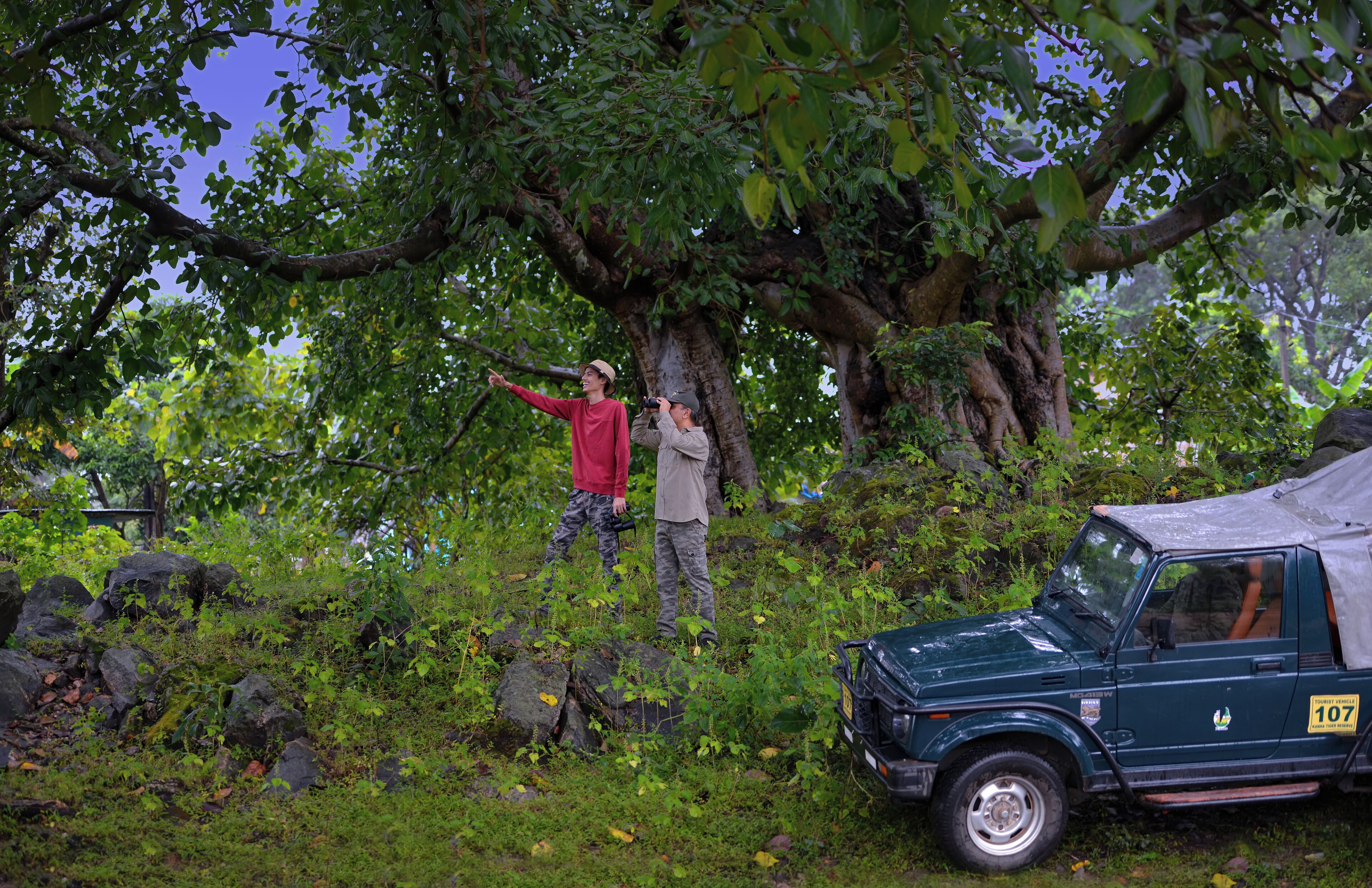 A green vehicle parked in a natural setting with trees and rocks.