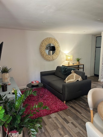 TV. Appartement t2 Bord du lot