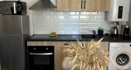 Appartement t2 Bord du lot