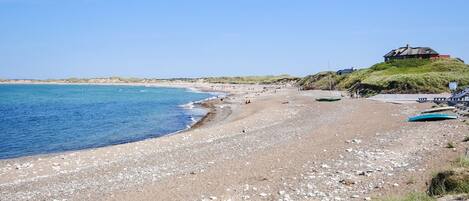 Ranta