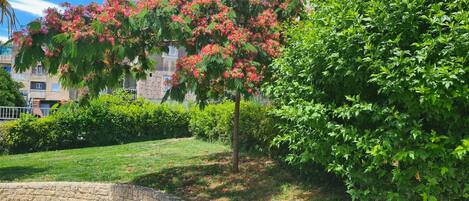 A landscaped garden with a variety of trees and shrubs, a stone wall, and a grassy area.