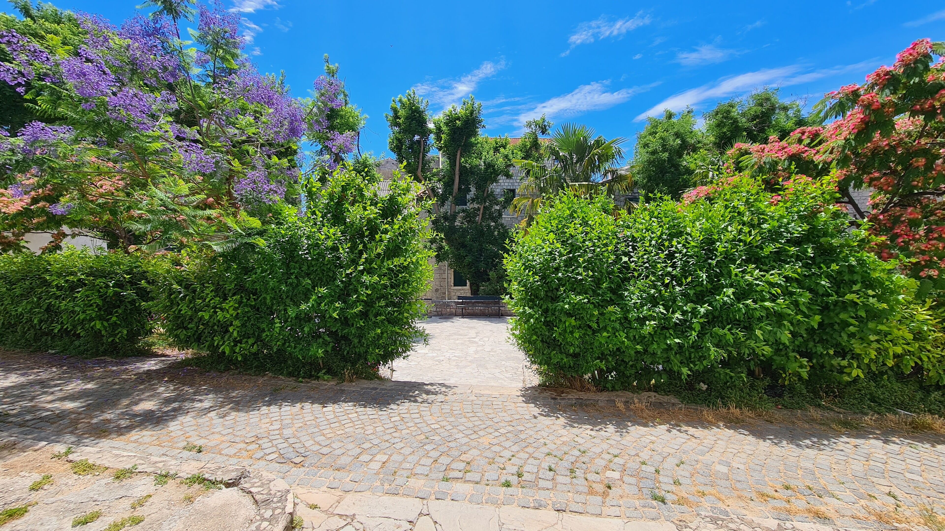 A cobblestone pathway leading through a garden with various shrubs and trees, including purple flowers.