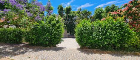 A cobblestone pathway leading through a garden with various shrubs and trees, including purple flowers.