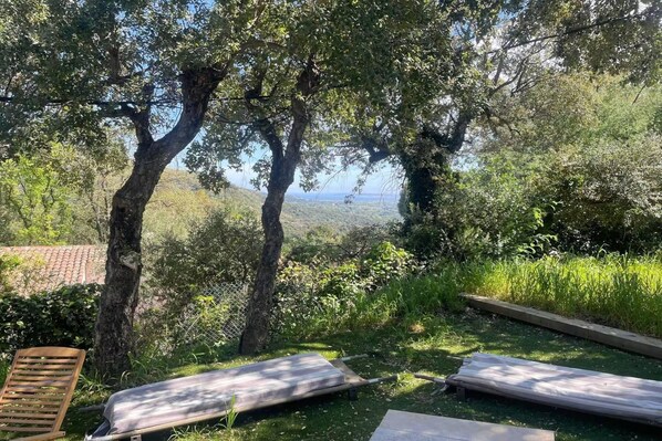A garden with a bench, a table, and a view of a landscape.