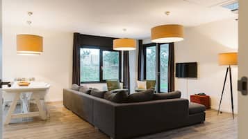 TV, fireplace, video library