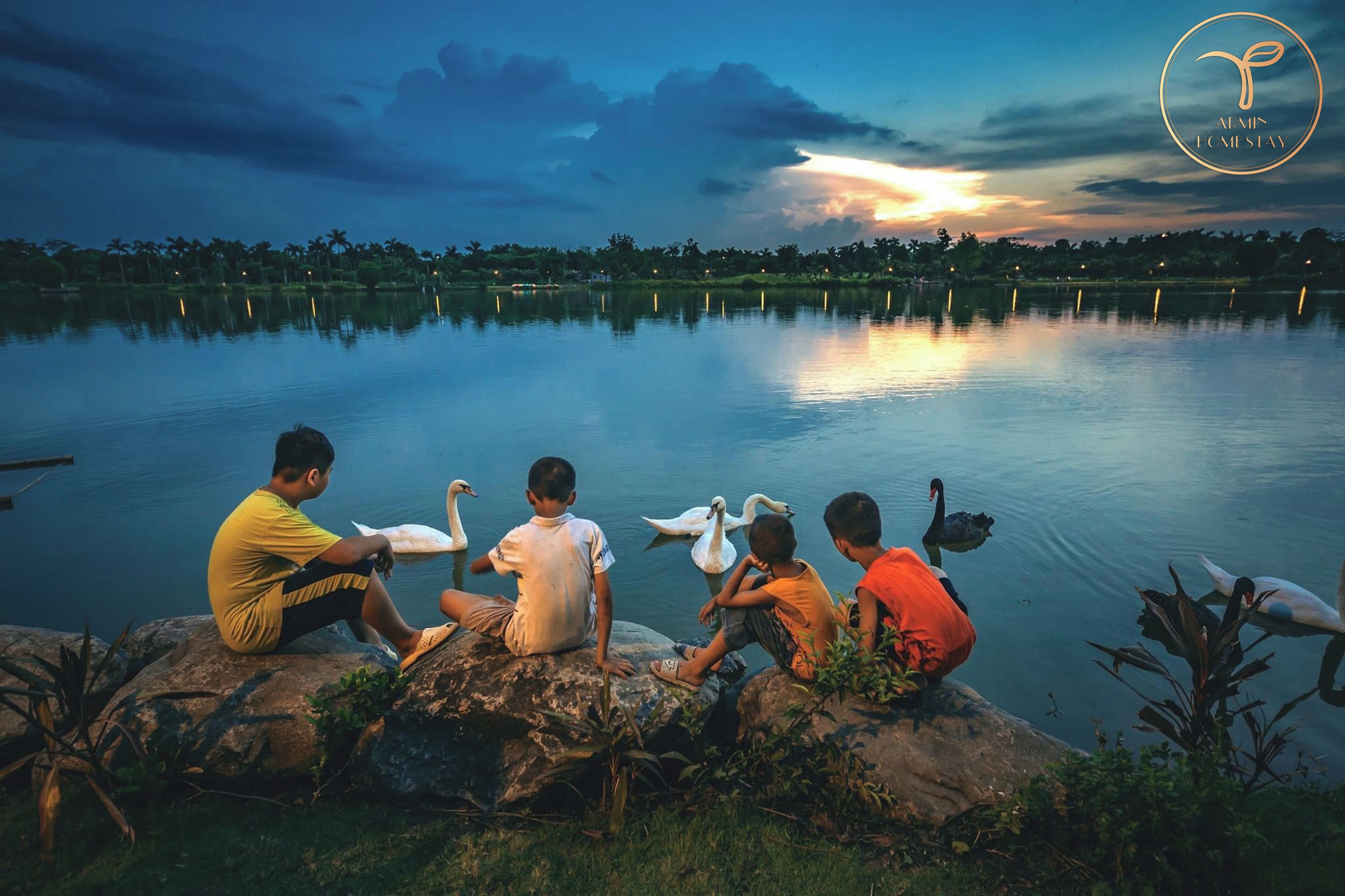 Un groupe de personnes est assis sur des rochers, au bord d’un lac paisible, au crépuscule, et des cygnes sont visibles.