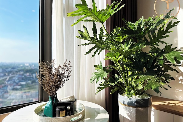 Panoramic Studio Suite | Living area | 45-inch Smart TV with digital channels, Netflix, streaming services