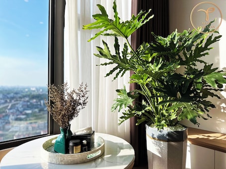 Smart TV 45 pulgadas con canales de televisión digitales, Netflix