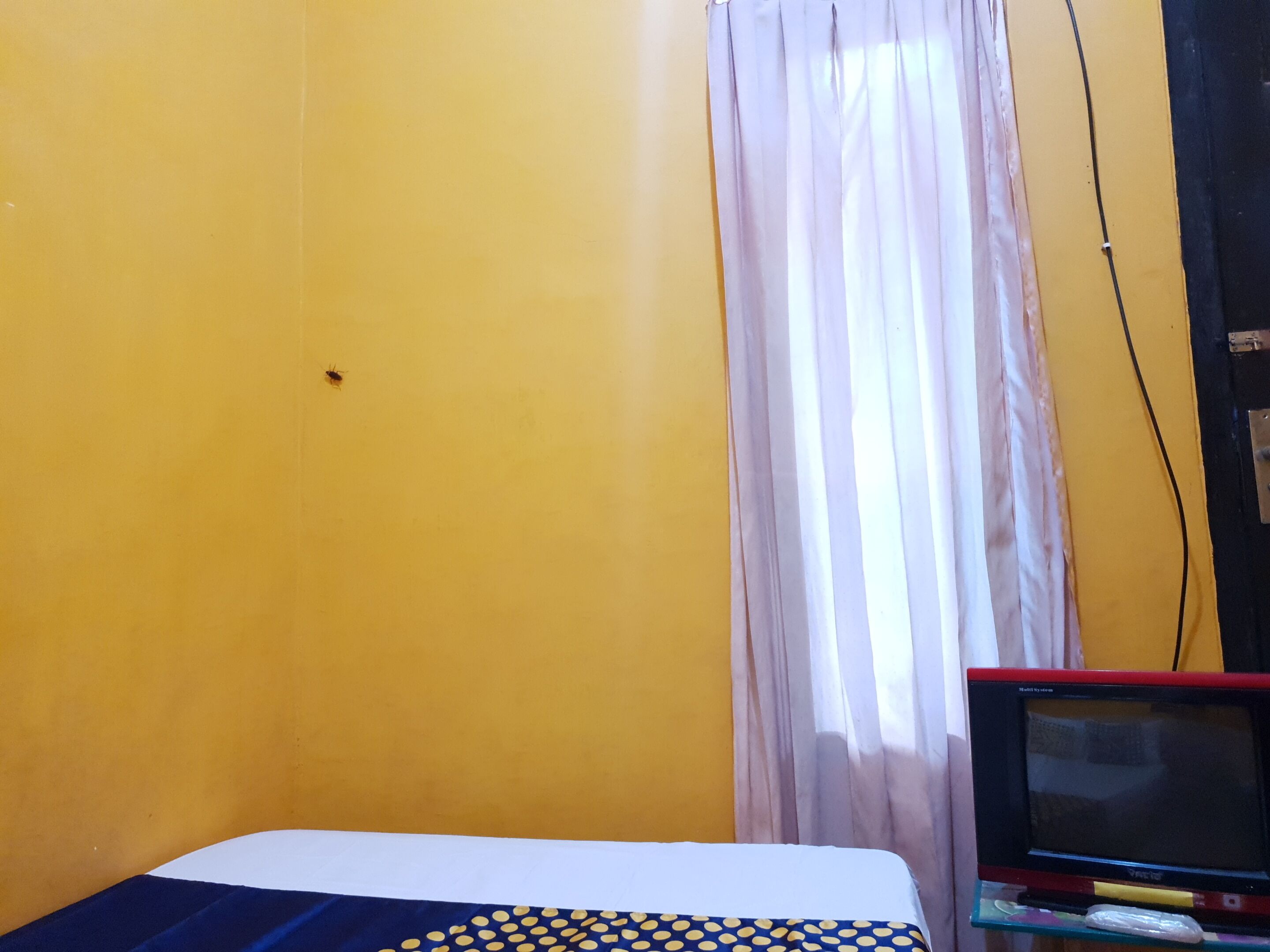 A room with a bed, a television on a stand, a curtain, and a wall with a visible crack.