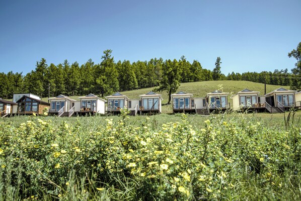 A row of mobile homes with a grassy field and trees in the background.