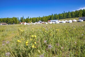Front of property - Alag Tsar Tourist Camp Khuvsgul Mongolia (Chandmani-Undur)
