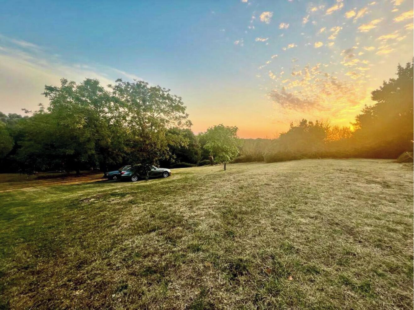 Área da propriedade