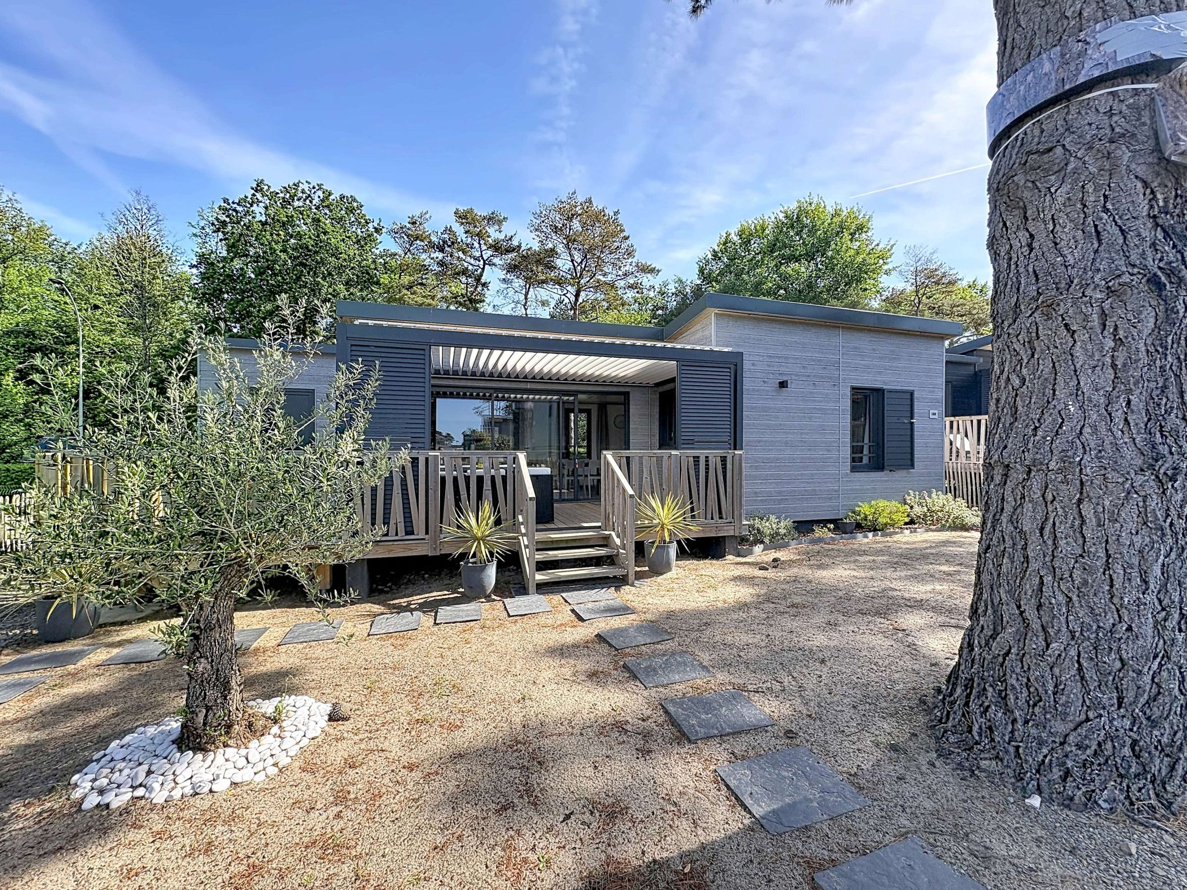 Une maison mobile moderne dotée d’une terrasse en bois, d’un petit jardin agrémenté de plantes en pot et d’un grand arbre en premier plan.