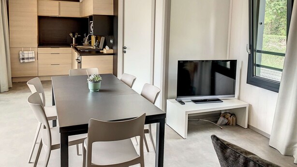 Une cuisine moderne dotée d’appareils électroménagers intégrés, un coin repas avec une grande table et des chaises, et un téléviseur posé sur un meuble.
