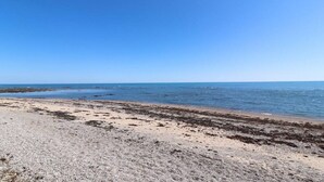 Une plage avec un ciel dégagé et une mer calme.