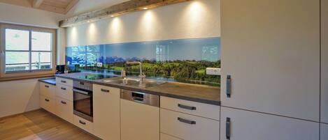 Kühlschrank, Ofen, Herdplatte, Geschirrspüler