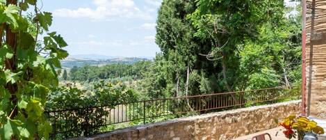 Exclusive Villa | Terrace/patio