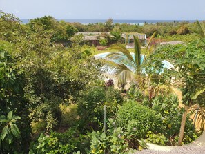 Garden - Matemwe Ocean View Villas (Matemwe)